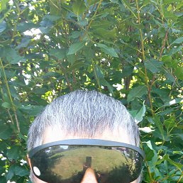 , 49, 