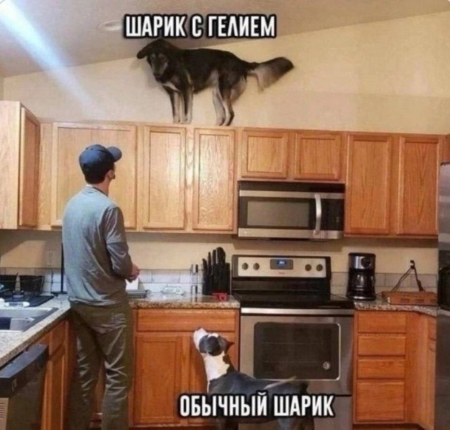  - 18  2024  12:04