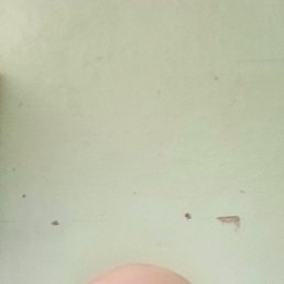 , 57, 