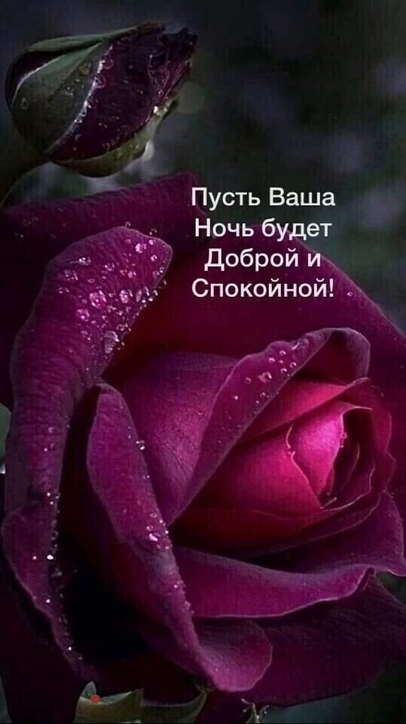   - 9  2025  23:59