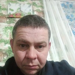 �����, 40 ���, ������