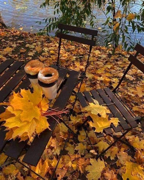    .,     , ...