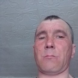 , 41, 