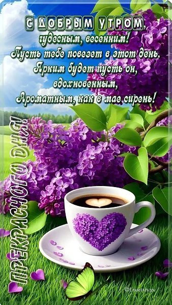 ***Victoria Viktorovna*** - 6  2025  03:20