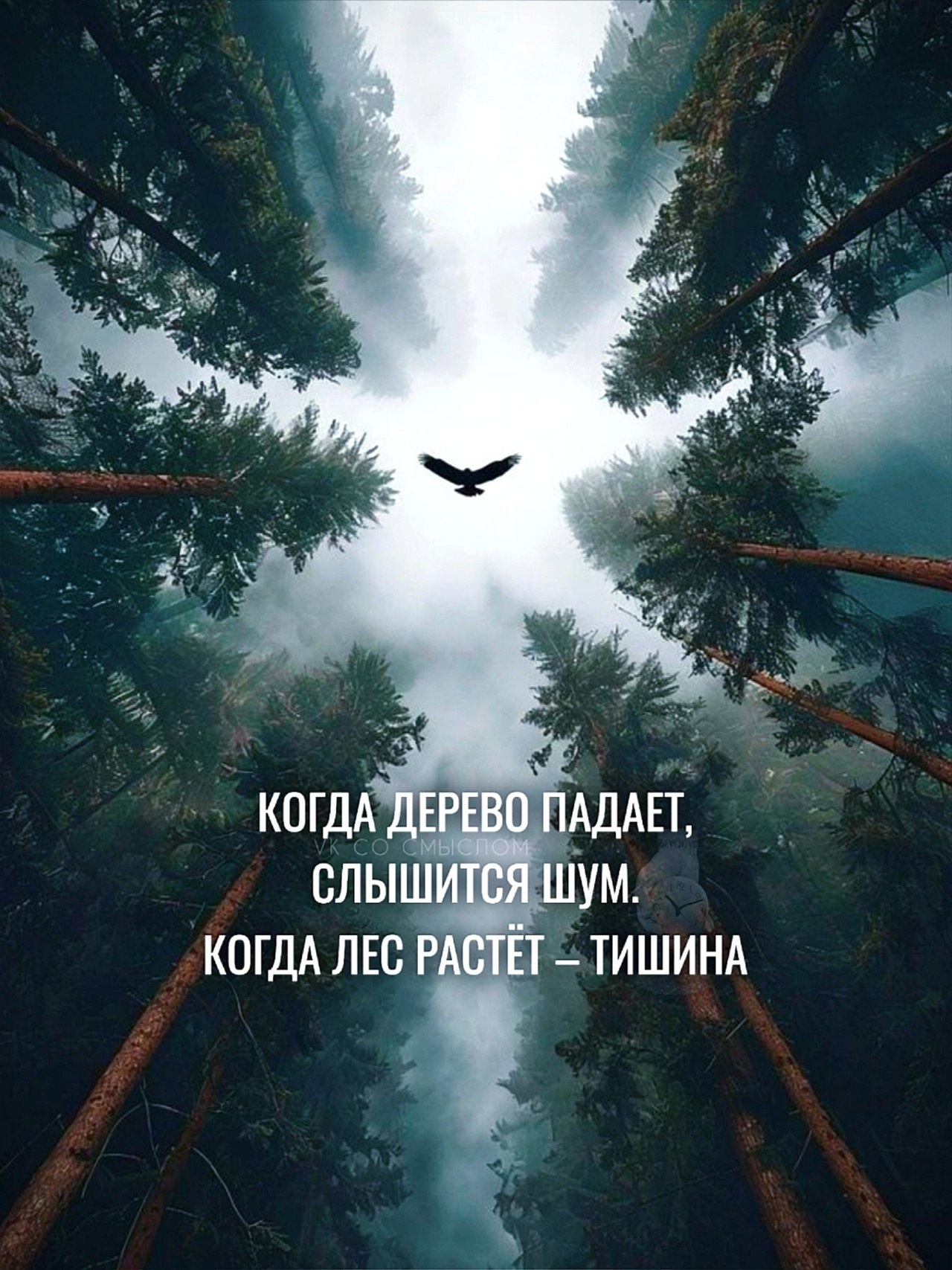  - 26  2025  12:10