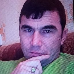 ��������, �������, 43 ����