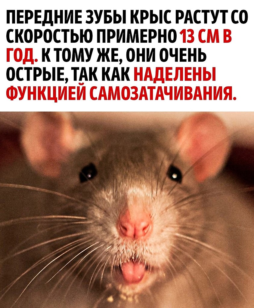      - 2