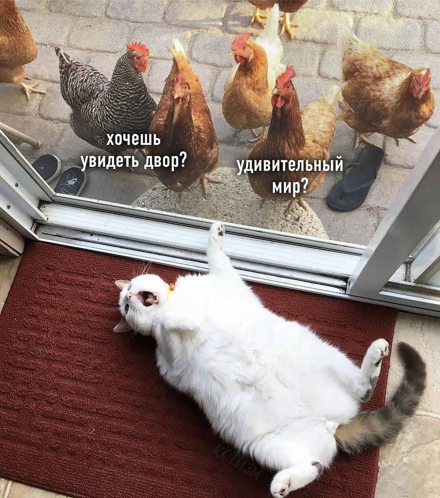   ) - 3
