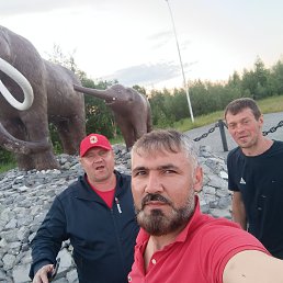 , 40,  