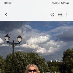, 61, 