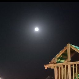 Vladimir, 53 ����, ���������