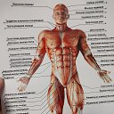 ���� ����, ���������, 41 ��� - ��������� 13 ���� 2026