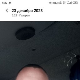 , 41, 