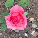 ���� �������, �����-���������, 59 ��� - ��������� 20 ������� 2025 � ������ ���� ����������