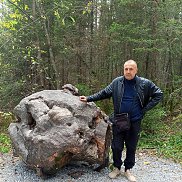 ����, 49 ���, ��������