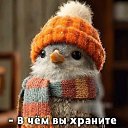 ���� ��������, ������, 84 ���� - ��������� 24 ������ 2026 � ������ ������ ��������