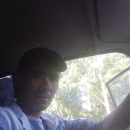 , 43 , 