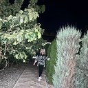 ���� Svetlana, ����� - ��������� 2 ������� 2025 � ������ ���� ����������