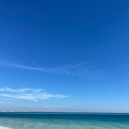 �������, ���������, 55 ���