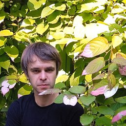  Van, -, 34  -  3  2024