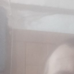 ���������, �������, 36 ���