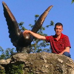 , 57, 