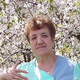 �������, ������, 65 ���