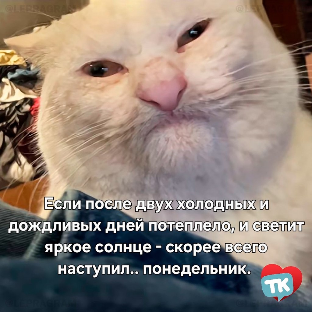   - 30  2025  09:29