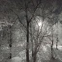 ���� �������, ������, 37 ��� - ��������� 30 ������ 2025 � ������ ���� ����������