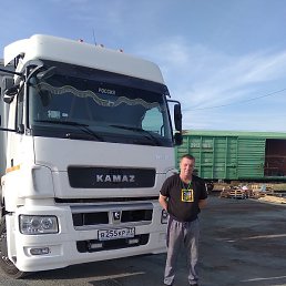 ����, ������, 55 ���