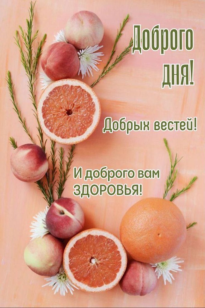   ,    . - 16  2025  13:26