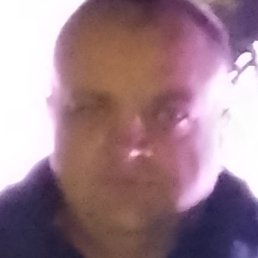 ������, ���������, 48 ���