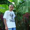 ���� ���������, �����, 46 ��� - ��������� 8 ������� 2026 � ������ ���� ����������