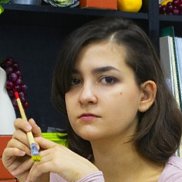 �������, 28 ���, �����������