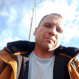 , 37, 