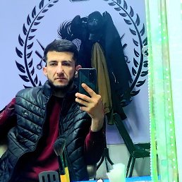 , 29, 