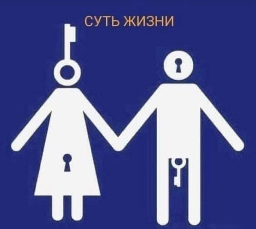 ���� - 1 ���� 2026 � 10:42