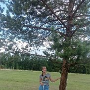 , 19 , 