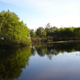 ��������, ������� ��������, 43 ����