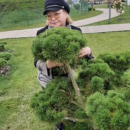 ���� Nvm&, ������������, 61 ��� - ��������� 31 ������� 2023