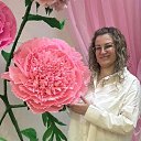 ���� ������, ������, 41 ��� - ��������� 2 ��� 2026 � ������ ���� ����������