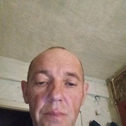  , 51 , 