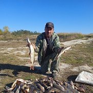  , 57 , 