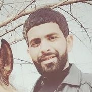 , 31 , 
