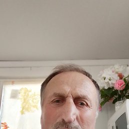 , 50 , 