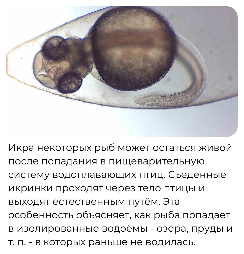 Discovery - 17  2025  03:50