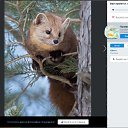 ��� �������� ������������ ����������-��� ��������� ������ ����. �� ������� ���� ����������