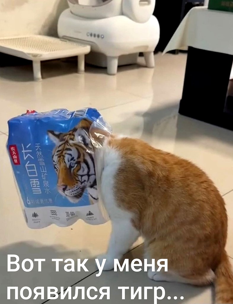 У меня живёт тигр ))