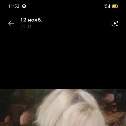 ���� �����, ������, 57 ��� - ��������� 28 ������ 2023