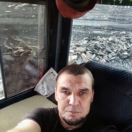 , 44, 